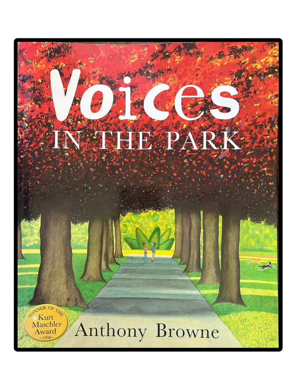 BUNDLE & SAVE 📚Voices in the Park Softcover by Anthony Browne